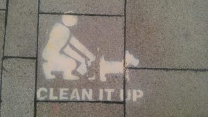 Offiziell oder Graffiti