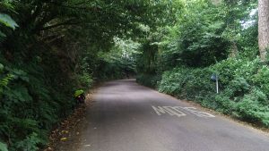 Eine sehr milde, typische Devon Road, sonst steiler und schmaler